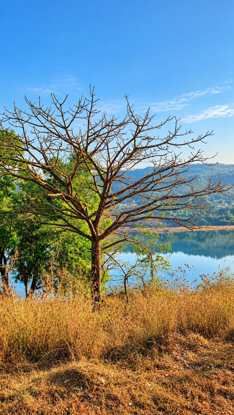 Lake, mountains and trees at Viva Andur farmhouse near Gaganbawada