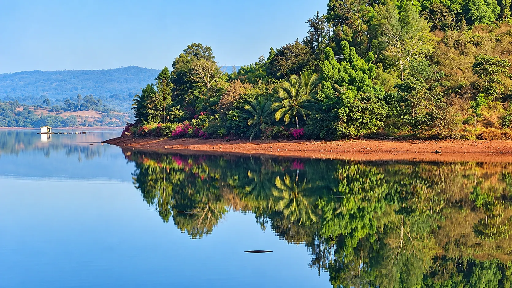 Tree shadow on the still lake at Viva Andur at dusk